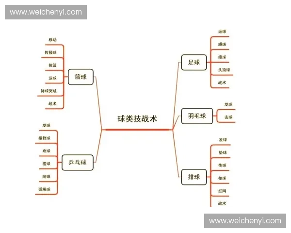 全面解析热门体育项目的规则特点及发展趋势助您选对运动项目