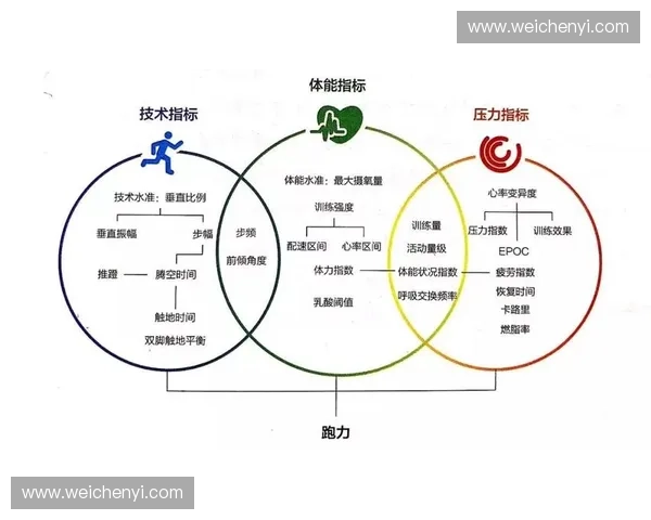 基于运动测试数据分析的运动员体能评估与训练优化研究