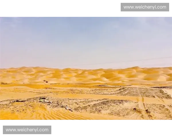 挑战极限沙漠马拉松在酷热与风沙中追寻自我极限的冒险之旅