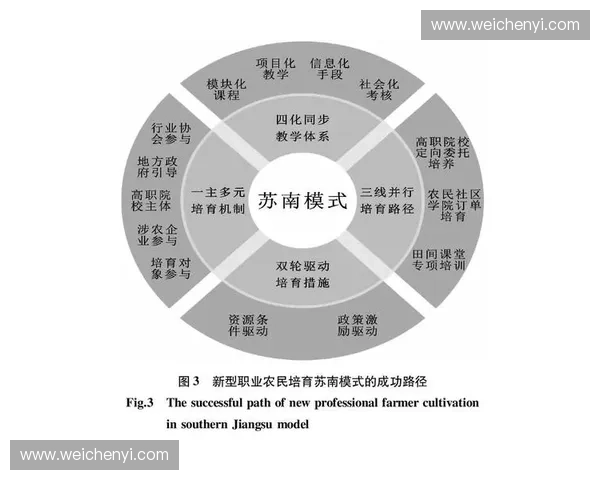 全球体育产业发展趋势与商业模式创新驱动下的未来增长路径分析